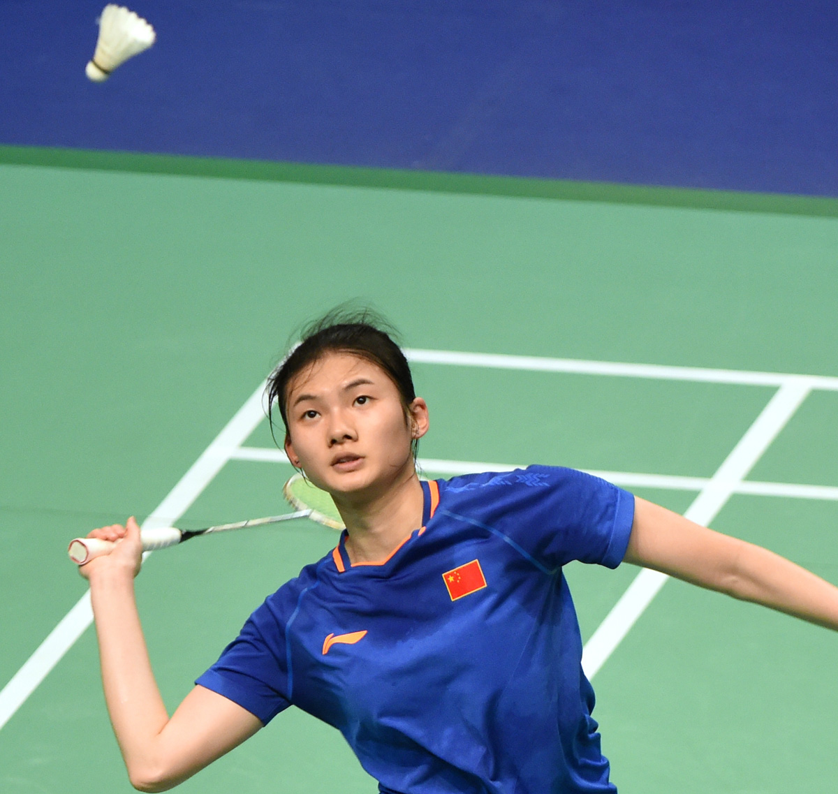 动的样本标 动的样本标