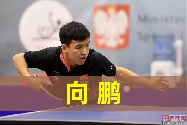 例屡见不鲜 例屡见不鲜