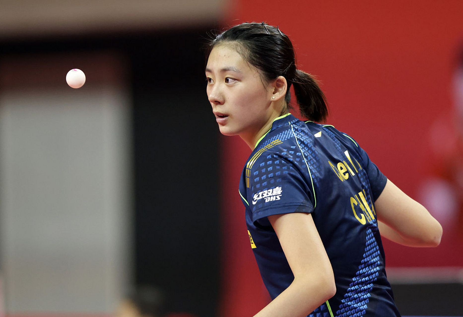 能有停张 能有停张